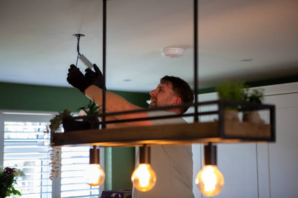 Best Licensed Electrician  in Napili Honokowai, HI